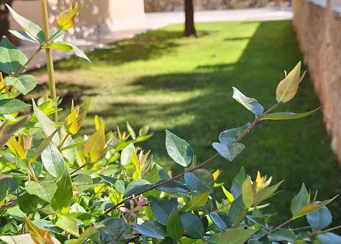 Appartamento Antares Cavtat